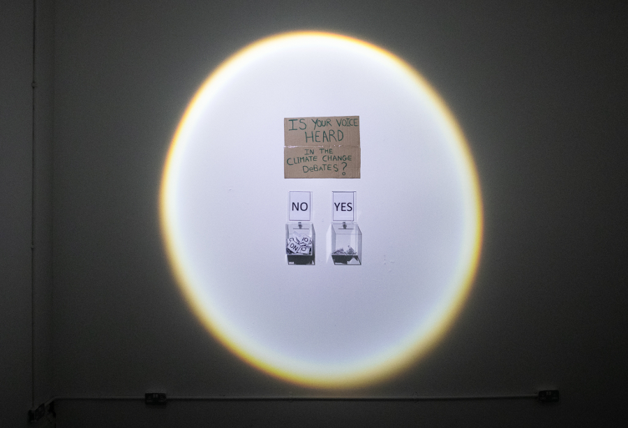 Installation view