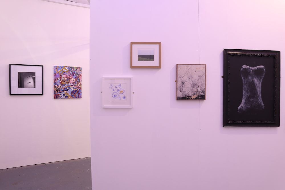Installation view